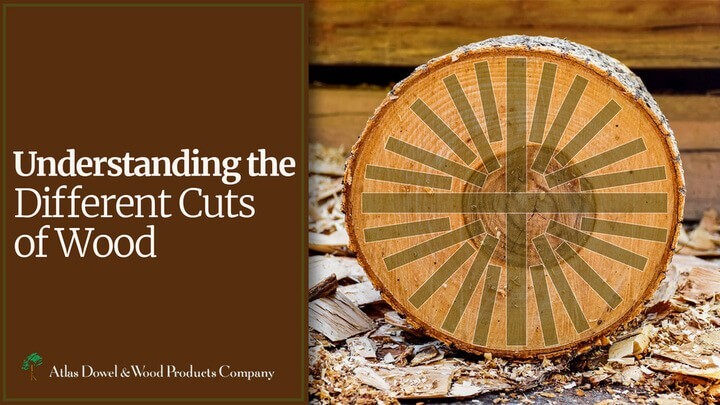 The cross section of a log with lines on it indicating where planks will be cut from it text reads Understanding the Different Cuts of Wood